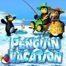 Penguin vacation